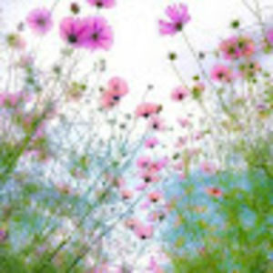 Meet your Posher, Kanwaljit